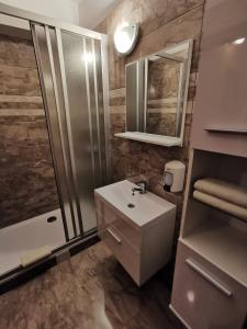 a bathroom with a shower and a sink and a mirror at Hegyi Panzió in Szilvásvárad
