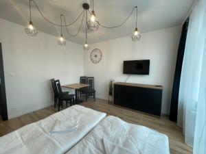 a bedroom with a bed and a table and a tv at Apartamenty Zwierzyniec Roztocze in Zwierzyniec