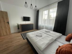 Posteľ alebo postele v izbe v ubytovaní Apartamenty Zwierzyniec Roztocze