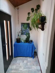 a blue table with plants on it next to a door at Apartman Zepina in Pula