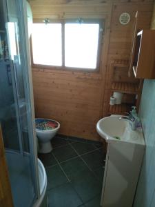 a bathroom with a toilet and a sink at POD ŚWIERKAMI domki letniskowe Wisełka in Wisełka