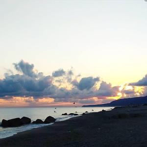 a group of birds flying over a beach at sunset at fico d'india in Spadafora