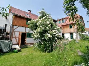 una casa con un árbol florido en el patio en Ferienwohnung Villa Claudia en Dresden