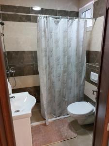 a bathroom with a toilet and a shower curtain at Apartmani Marija in Vrdnik