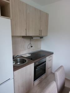 a kitchen with wooden cabinets and a sink at Apartmani Marija in Vrdnik