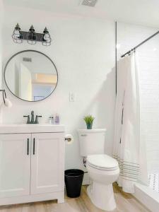 a bathroom with a toilet and a sink and a mirror at Sparkling Guest Home 2 bedroom-15 Minutes to Clearwater Beach in Clearwater
