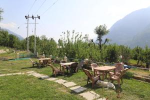 Fotografie z fotogalerie ubytování indian backpackers hostel v destinaci Manāli + 118 fotografií