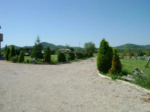 a row of trees in a gravel driveway at Casa Marblu via Cairoli, 47 Corciano in Corciano