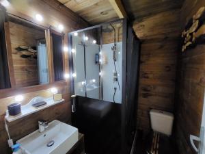 a bathroom with a sink and a shower and a mirror at le petit chalet cevenol in La Barriére +29 photos