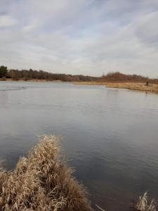 a body of water with a person walking on the shore at Zielony Domek agroturystyka in Kamieńczyk