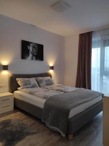 una camera con un grande letto e una finestra di Armony Apartament Timisoara a Timişoara