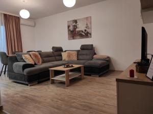 Armony Apartament Timisoara في تيميشوارا: غرفة معيشة مع أريكة وطاولة