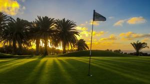 einen Golfplatz mit Palmen und einer Flagge in der Unterkunft Aguazul - A pie de piscina y vistas al mar in Puerto del Carmen