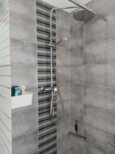 a shower with a glass door in a bathroom at Ferienwohnung Mahlsdorf in Berlin