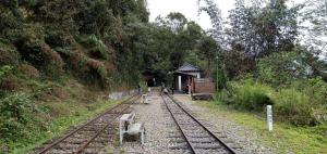 Foto sihtkohas Meishan asuva majutusasutuse Hongpeng Coffee Station Homestay galeriist