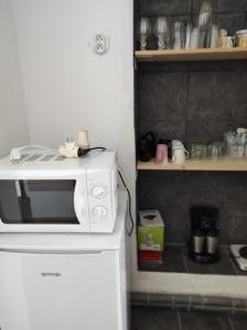 a microwave on top of a refrigerator in a kitchen at U lesa in Bohutín
