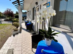 Fotografie z fotogalerie ubytování Hotel Ca' Bianca da Paolino v destinaci Misano Adriatico