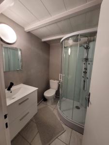 a bathroom with a shower and a toilet at "Le studio" in Mouilleron-le-Captif