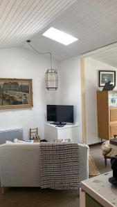 a living room with a couch and a flat screen tv at La Terrasse du Bois Plage in Le Bois-Plage-en-Ré