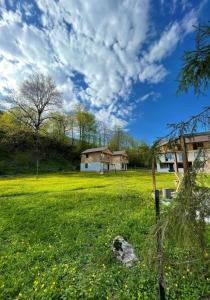 Giardino di Hotel Chubezeni