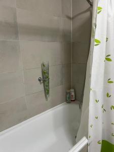 ein Badezimmer mit einer Badewanne und einem Duschvorhang in der Unterkunft Apart Hotel R&P Depto B in Puerto Varas