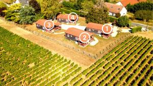 an aerial view of a farm with rows of vines at LES CHALETS DE SANCERRE in Thauvenay