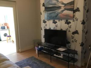 uma sala de estar com uma televisão de ecrã plano sobre uma mesa em Apartment with shared garden and basic equipments em Plymouth