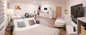 sypialnia z łóżkiem i salonem w obiekcie Apartmán Mija w mieście Frymburk