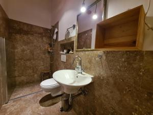 a bathroom with a sink and a toilet at Heritage Apartment Park Royal Residence in Opatija +50 photos
