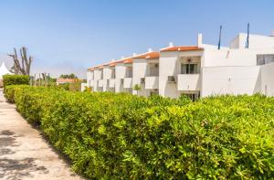 a row of bushes in front of a building at Hotel Vale Da Telha in Aljezur