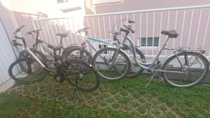 Jízda na kole v ubytování Ferienwohnung Lang nebo okolí