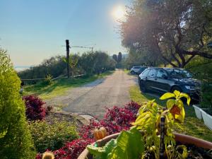 Een tuin van Relais Villa Olivi