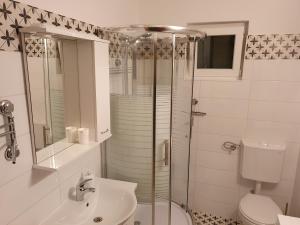 a bathroom with a shower and a toilet and a sink at Country House Iva in Trbounje