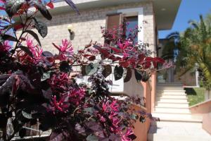 un ramo de flores rosas en una casa en Villino con piscina en Terni