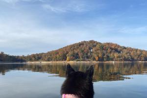 Fotografie z fotogalerie ubytování Heartland House v destinaci New Tazewell