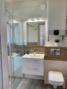a bathroom with a shower and a sink and a toilet at Czerwone Domki in Dębki