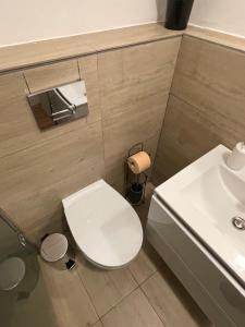 ein Badezimmer mit einer weißen Toilette und einem Waschbecken in der Unterkunft Savoya5 Old CityCenter Selfcheckin WorkspaceStudio in Timişoara
