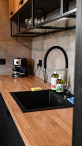 a kitchen counter with a sink and a sink at Ośrodek Wypoczynkowo Sportowy Pod Żurawiem Apt. 2 in Karolewo