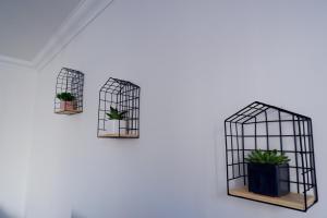 three black bird cages with plants on a wall at No 7 Quiet, two bedroom Ground Floor Flat in Tornagrain Great for early Airport departures or late flights in Dalcross