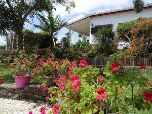 Gallery image of La Chambre de Ker Briac in Funchal