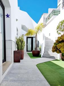 a courtyard of a white building with plants at Apartamentos El Arrecife in Conil de la Frontera