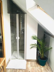 a bathroom with a shower and a potted plant at Maison LE BONO KERBISOUNOURS in Le Bono