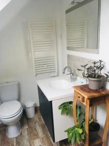 a bathroom with a toilet and a sink and a mirror at Maison LE BONO KERBISOUNOURS in Le Bono