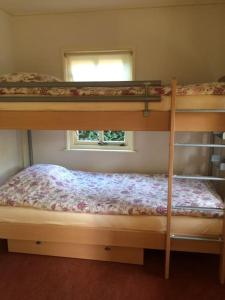sypialnia z 2 łóżkami piętrowymi i oknem w obiekcie Tanja's Guesthouse Kootstertille w mieście Kootstertille