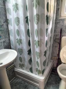 a bathroom with a shower curtain with leaves on it at Casa Alba in Fundata +33 photos