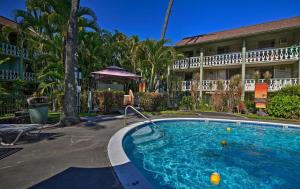 Swimmingpoolen hos eller tæt på YOUR HAWAIIAN TROPICAL GARDEN VIEW STUDIO - KONA ISLANDER INN CONDOS condo