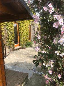 Vrt pred nastanitvijo Seaside Cottage