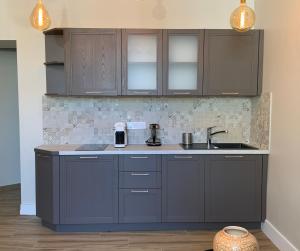 a kitchen with gray cabinets and a sink at LA COSY FACTORY - Centre historique in Chambéry