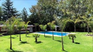 a yard with a swimming pool and palm trees at Lemon Tree Hostel in Vistalba
