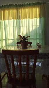a table with a potted plant on it in front of a window at La casita Bella Unión in Bella Unión